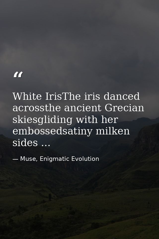 White IrisThe iris danced acrossthe ancient Grecian skiesgliding with her embossedsatiny milken sides ... — Muse, Enigmatic Evolution