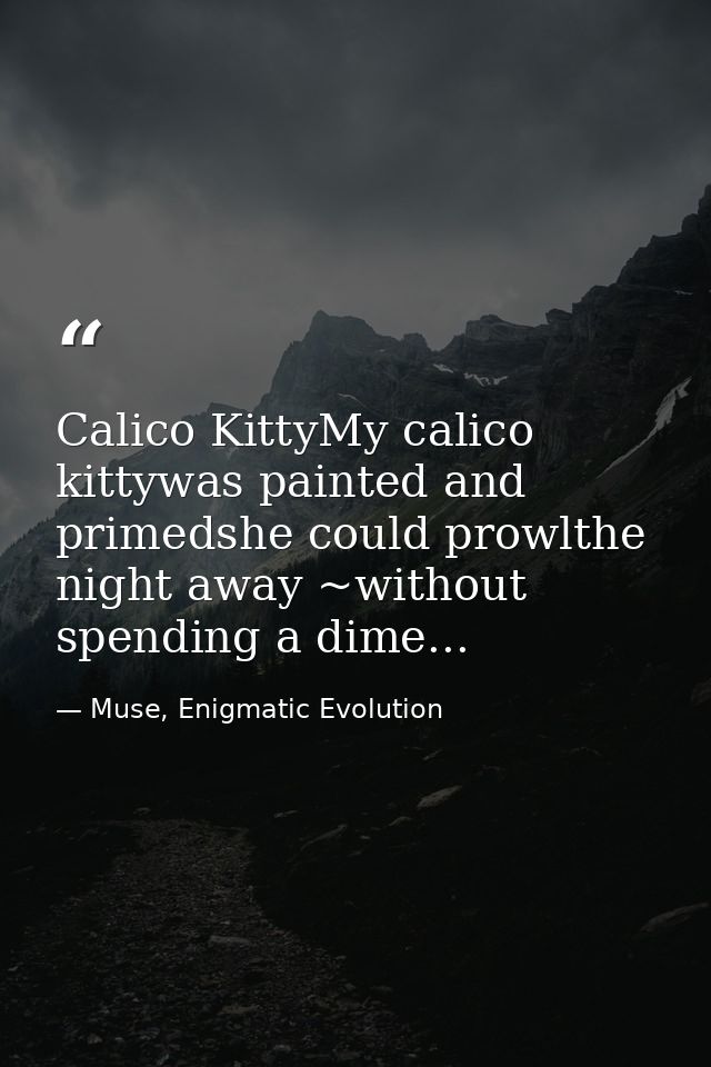 Calico KittyMy calico kittywas painted and primedshe could prowlthe night away ~without spending a dime... — Muse, Enigmatic Evolution
