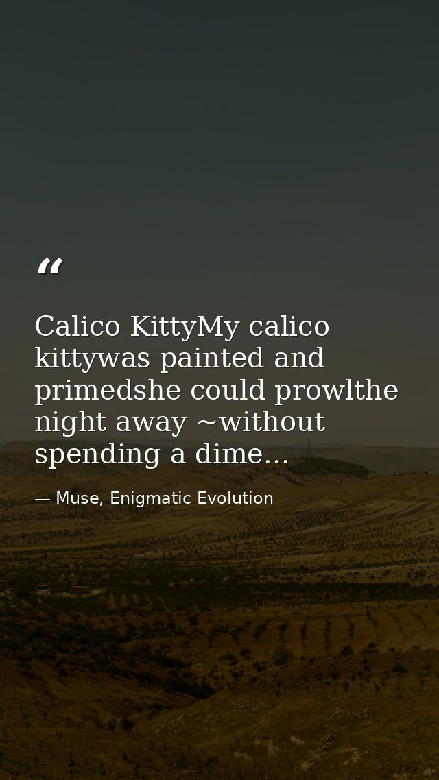 Calico KittyMy calico kittywas painted and primedshe could prowlthe night away ~without spending a dime... — Muse, Enigmatic Evolution