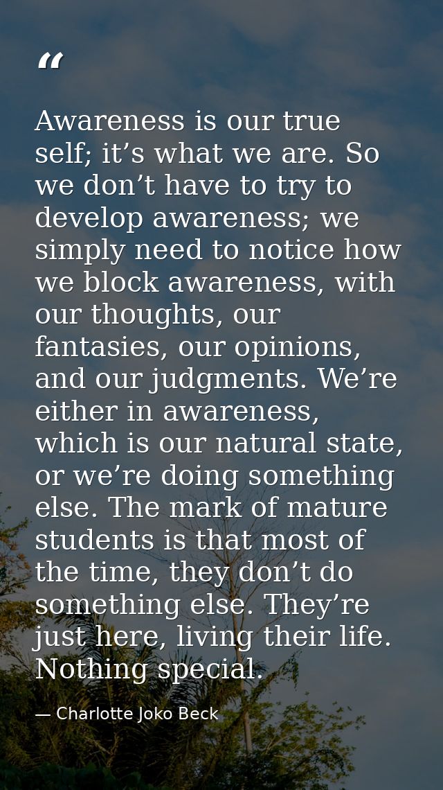 Awareness is our true self; it’s what we are. So we don’t have to try to develop awareness; we simply need to notice how — Charlotte Joko Beck