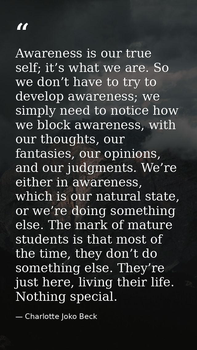 Awareness is our true self; it’s what we are. So we don’t have to try to develop awareness; we simply need to notice how — Charlotte Joko Beck