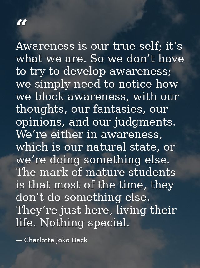 Awareness is our true self; it’s what we are. So we don’t have to try to develop awareness; we simply need to notice how — Charlotte Joko Beck