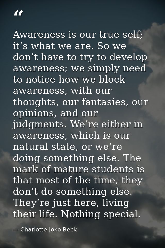 Awareness is our true self; it’s what we are. So we don’t have to try to develop awareness; we simply need to notice how — Charlotte Joko Beck