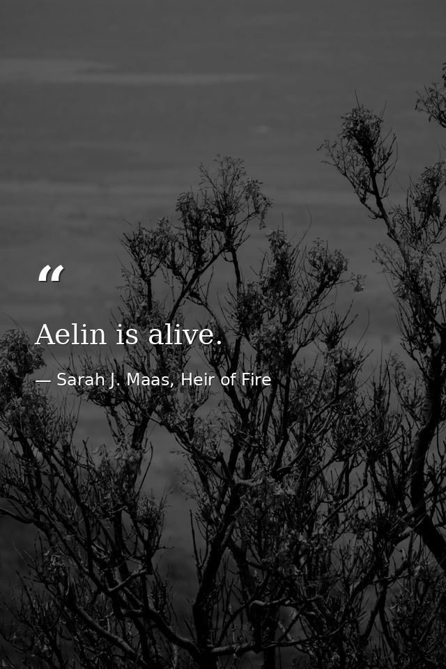 Aelin is alive. — Sarah J. Maas, Heir of Fire