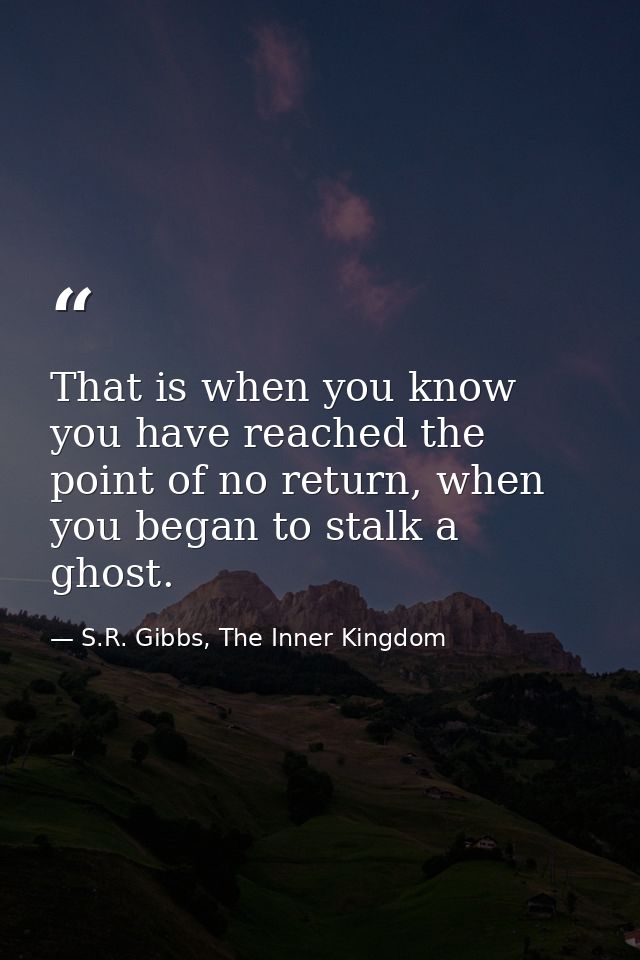 That is when you know you have reached the point of no return, when you began to stalk a ghost. — S.R. Gibbs, The Inner Kingdom