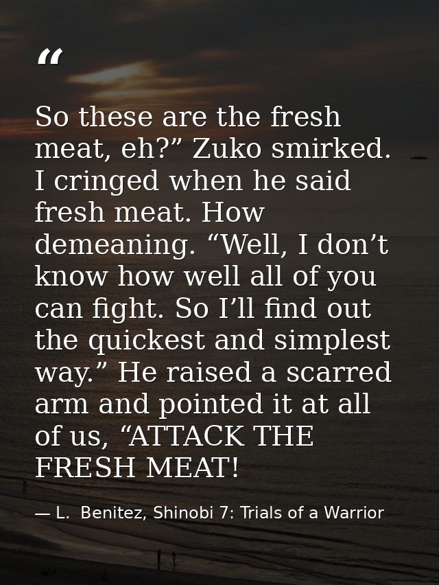 So these are the fresh meat, eh?” Zuko smirked. I cringed when he said fresh meat. How demeaning. “Well, I don’t know ho — L.  Benitez, Shinobi 7: Trials of a Warrior