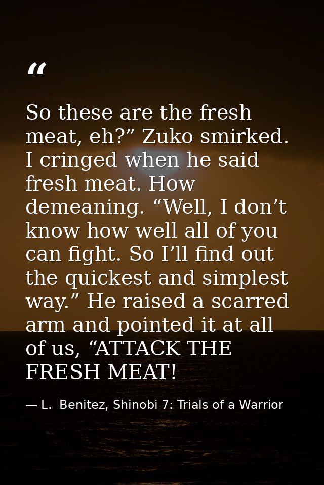 So these are the fresh meat, eh?” Zuko smirked. I cringed when he said fresh meat. How demeaning. “Well, I don’t know ho — L.  Benitez, Shinobi 7: Trials of a Warrior