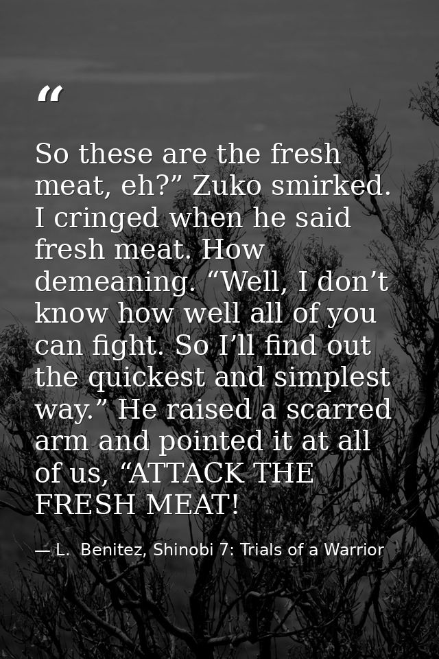 So these are the fresh meat, eh?” Zuko smirked. I cringed when he said fresh meat. How demeaning. “Well, I don’t know ho — L.  Benitez, Shinobi 7: Trials of a Warrior