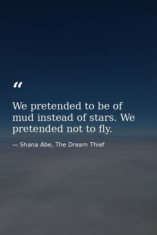 We pretended to be of mud instead of stars. We pretended not to fly. — Shana Abe, The Dream Thief