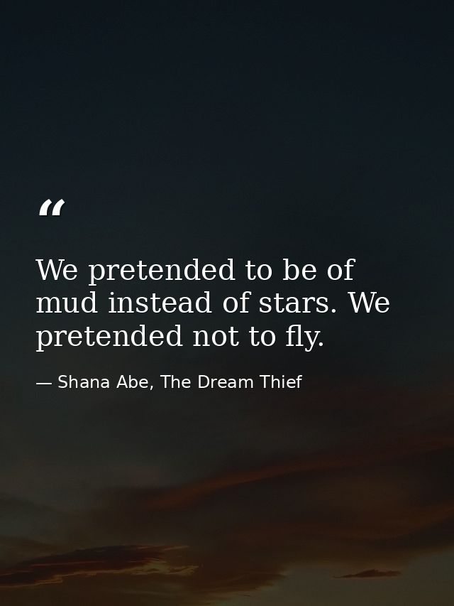 We pretended to be of mud instead of stars. We pretended not to fly. — Shana Abe, The Dream Thief