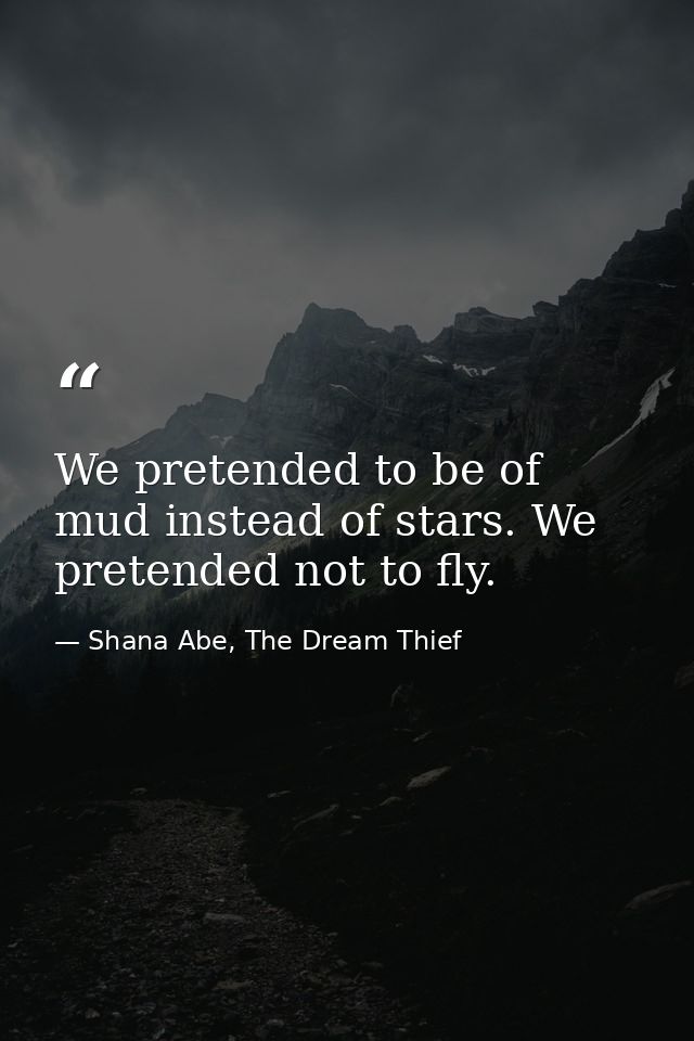 We pretended to be of mud instead of stars. We pretended not to fly. — Shana Abe, The Dream Thief