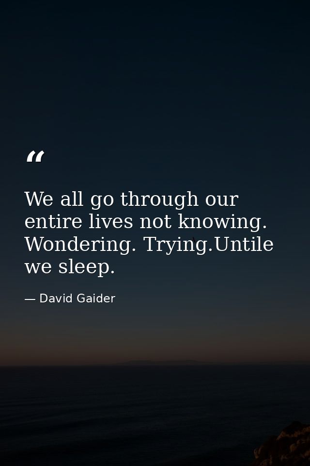 We all go through our entire lives not knowing. Wondering. Trying.Untile we sleep. — David Gaider