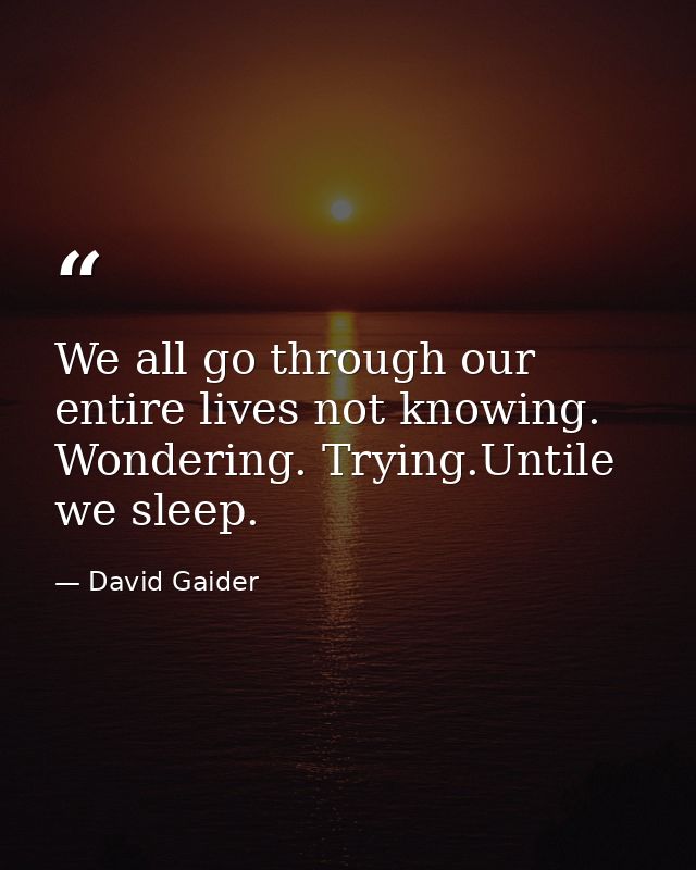 We all go through our entire lives not knowing. Wondering. Trying.Untile we sleep. — David Gaider