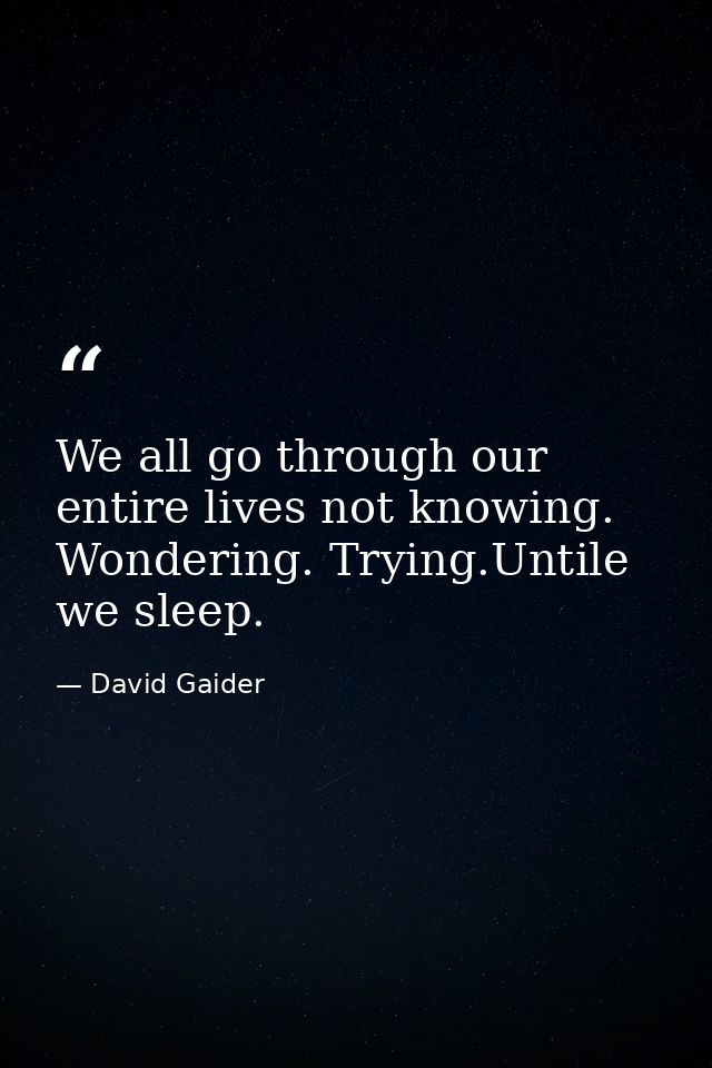 We all go through our entire lives not knowing. Wondering. Trying.Untile we sleep. — David Gaider
