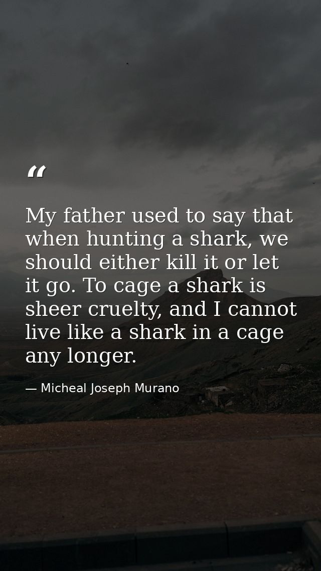 My father used to say that when hunting a shark, we should either kill it or let it go. To cage a shark is sheer cruelty — Micheal Joseph Murano
