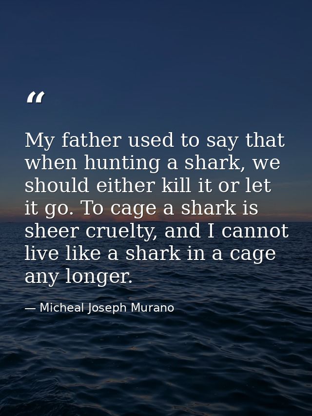 My father used to say that when hunting a shark, we should either kill it or let it go. To cage a shark is sheer cruelty — Micheal Joseph Murano