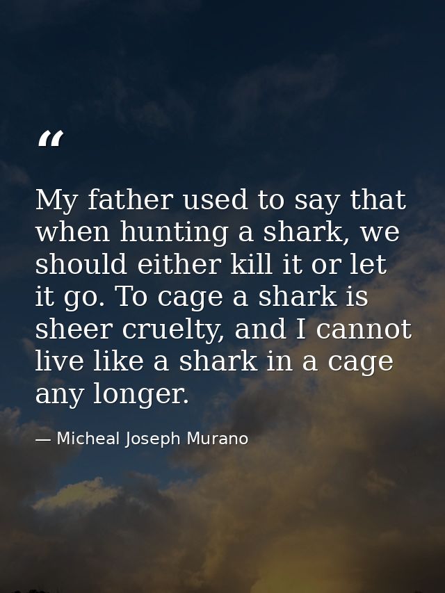 My father used to say that when hunting a shark, we should either kill it or let it go. To cage a shark is sheer cruelty — Micheal Joseph Murano