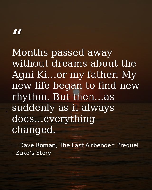 Months passed away without dreams about the Agni Ki…or my father. My new life began to find new rhythm. But then…as sudd — Dave Roman, The Last Airbender: Prequel - Zuko's Story