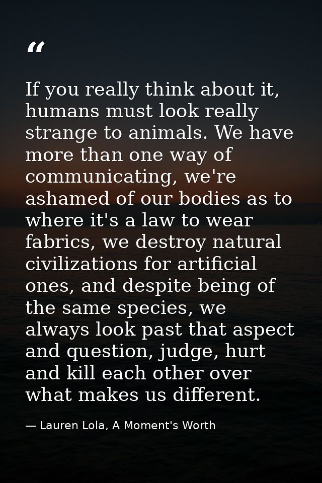 If you really think about it, humans must look really strange to animals. We have more than one way of communicating, we — Lauren Lola, A Moment's Worth