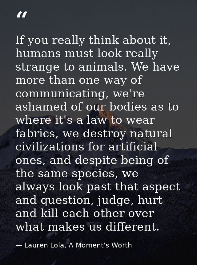 If you really think about it, humans must look really strange to animals. We have more than one way of communicating, we — Lauren Lola, A Moment's Worth