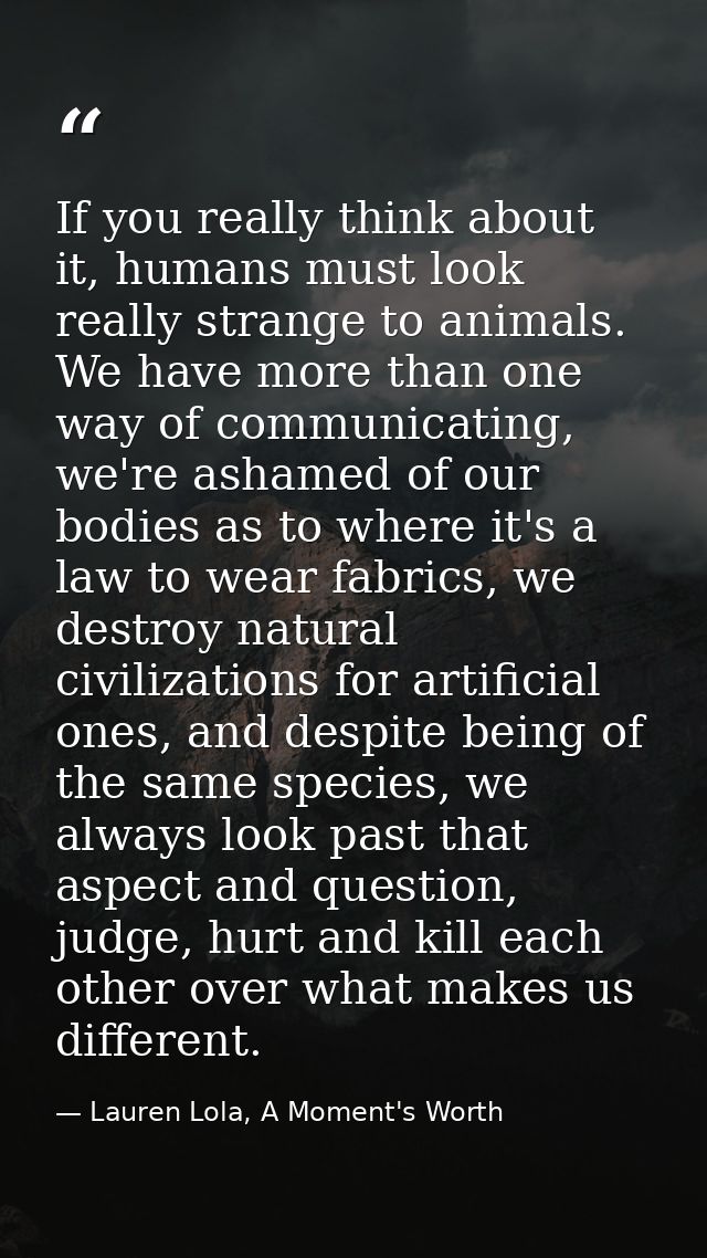 If you really think about it, humans must look really strange to animals. We have more than one way of communicating, we — Lauren Lola, A Moment's Worth
