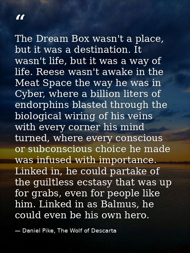 The Dream Box wasn't a place, but it was a destination. It wasn't life, but it was a way of life. Reese wasn't awake in  — Daniel Pike, The Wolf of Descarta