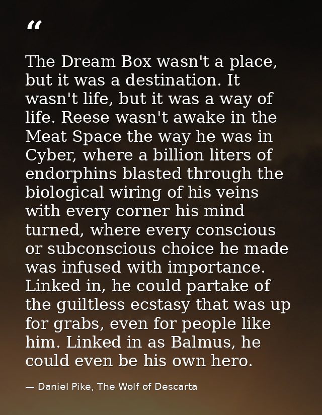 The Dream Box wasn't a place, but it was a destination. It wasn't life, but it was a way of life. Reese wasn't awake in  — Daniel Pike, The Wolf of Descarta