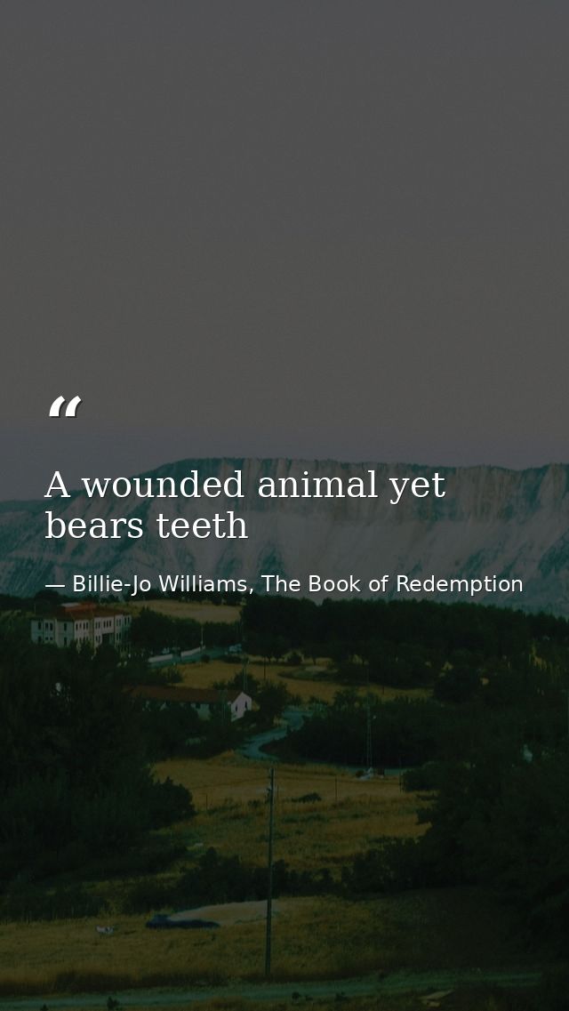A wounded animal yet bears teeth — Billie-Jo Williams, The Book of Redemption