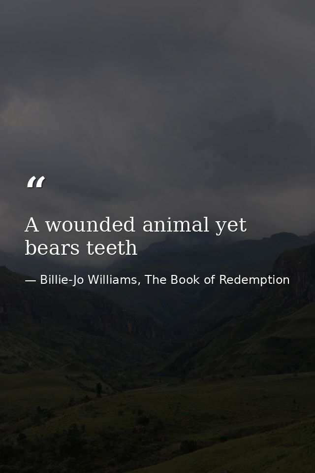 A wounded animal yet bears teeth — Billie-Jo Williams, The Book of Redemption
