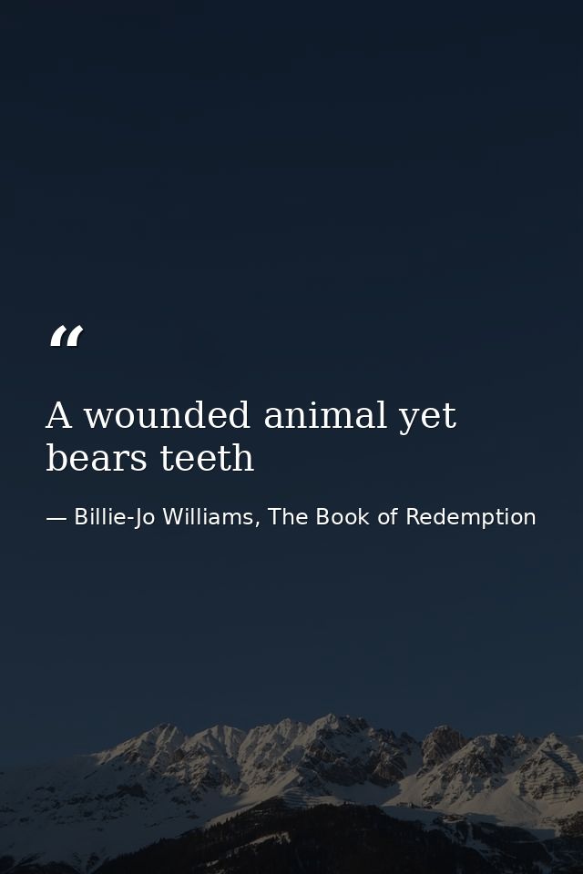 A wounded animal yet bears teeth — Billie-Jo Williams, The Book of Redemption