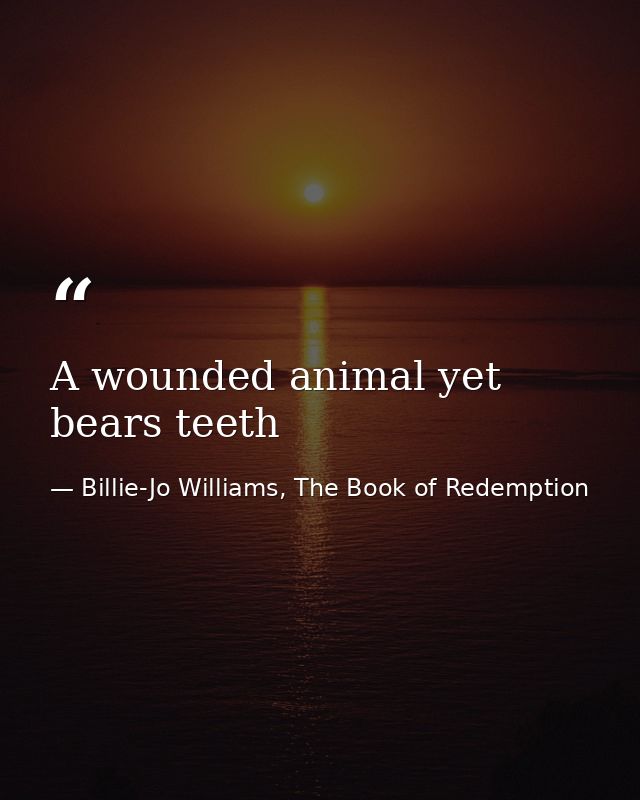 A wounded animal yet bears teeth — Billie-Jo Williams, The Book of Redemption