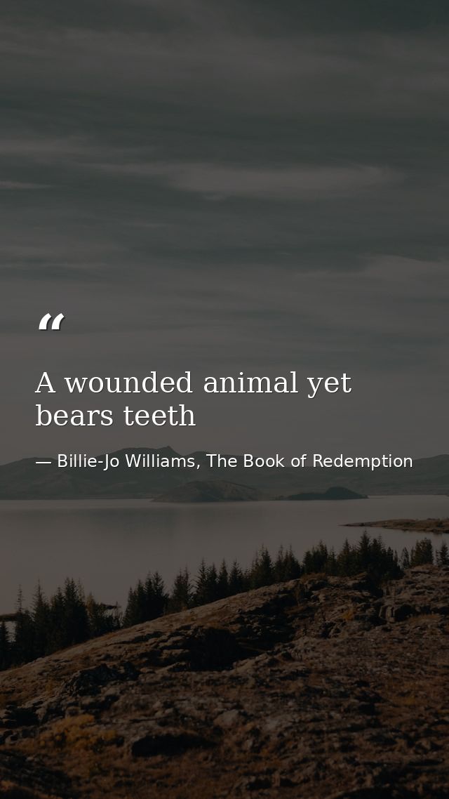 A wounded animal yet bears teeth — Billie-Jo Williams, The Book of Redemption