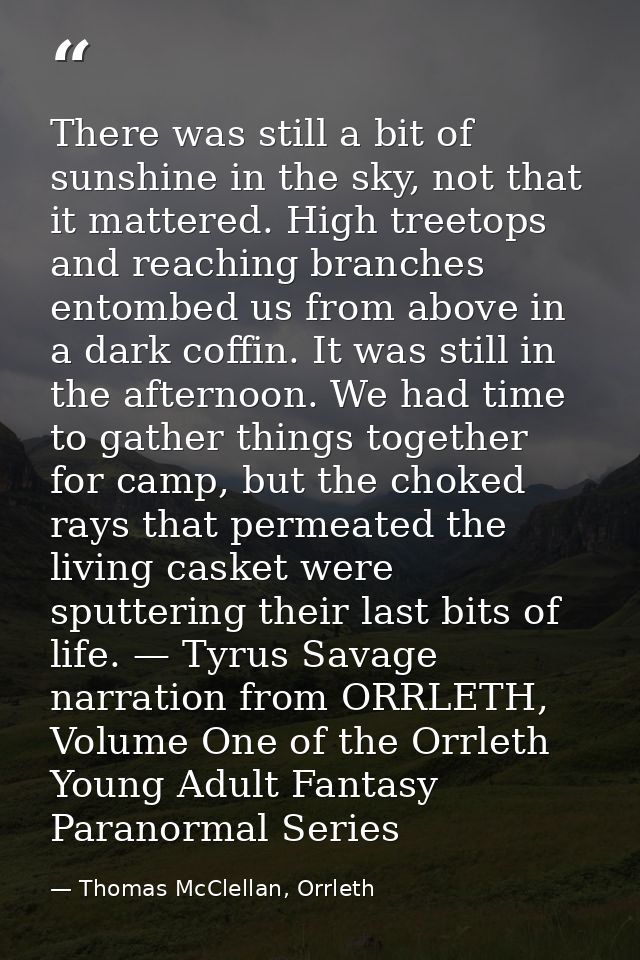 There was still a bit of sunshine in the sky, not that it mattered. High treetops and reaching branches entombed us from — Thomas McClellan, Orrleth