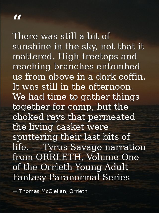 There was still a bit of sunshine in the sky, not that it mattered. High treetops and reaching branches entombed us from — Thomas McClellan, Orrleth