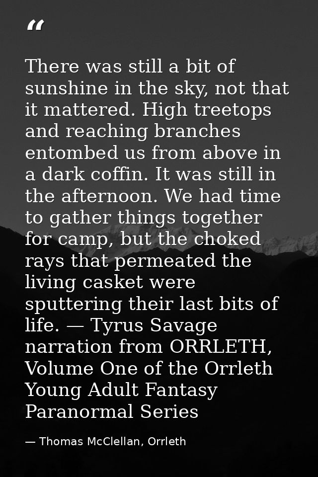 There was still a bit of sunshine in the sky, not that it mattered. High treetops and reaching branches entombed us from — Thomas McClellan, Orrleth