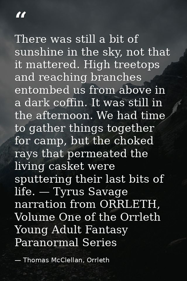 There was still a bit of sunshine in the sky, not that it mattered. High treetops and reaching branches entombed us from — Thomas McClellan, Orrleth