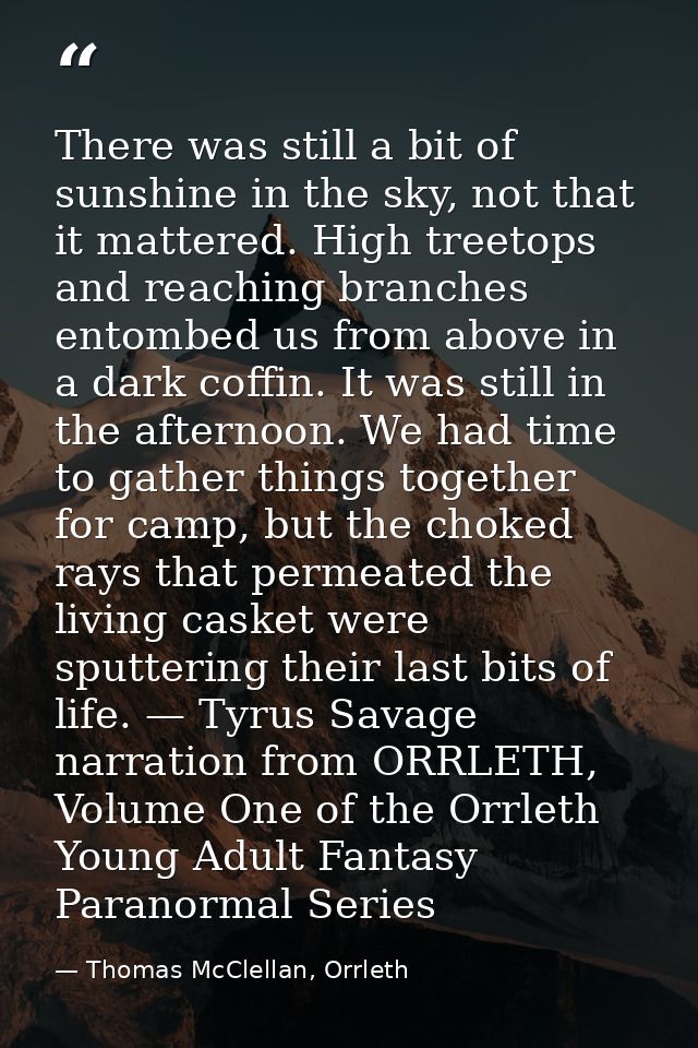 There was still a bit of sunshine in the sky, not that it mattered. High treetops and reaching branches entombed us from — Thomas McClellan, Orrleth