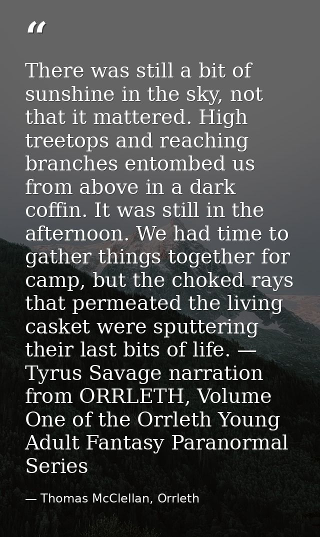 There was still a bit of sunshine in the sky, not that it mattered. High treetops and reaching branches entombed us from — Thomas McClellan, Orrleth
