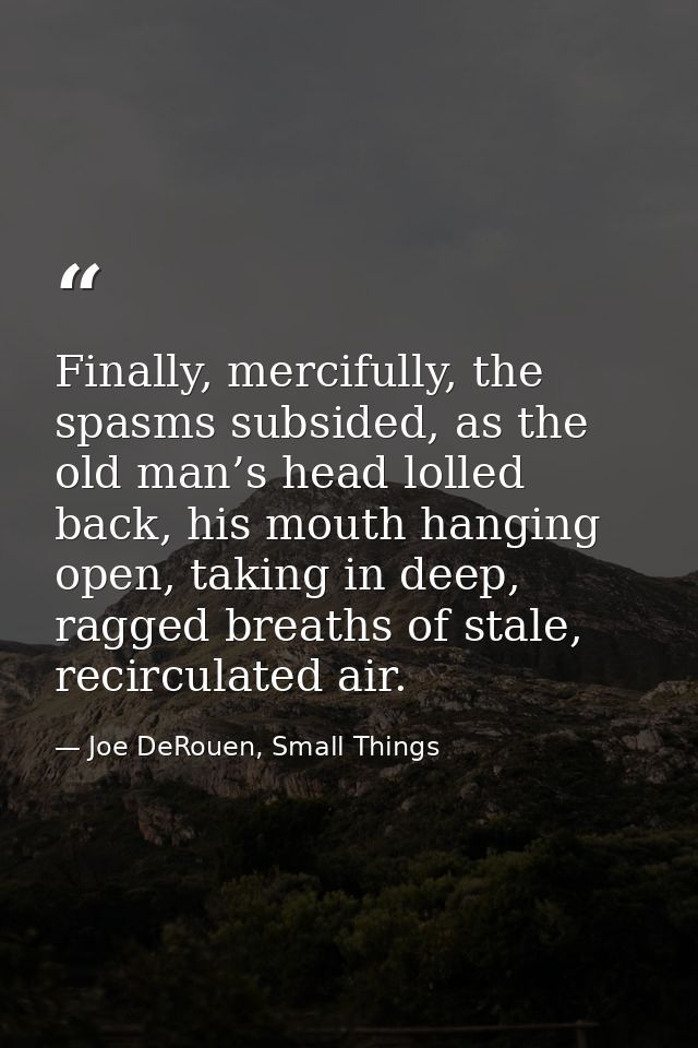 Finally, mercifully, the spasms subsided, as the old man’s head lolled back, his mouth hanging open, taking in deep, rag — Joe DeRouen, Small Things