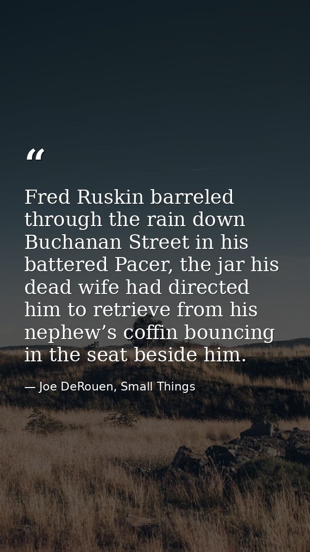 Fred Ruskin barreled through the rain down Buchanan Street in his battered Pacer, the jar his dead wife had directed him — Joe DeRouen, Small Things
