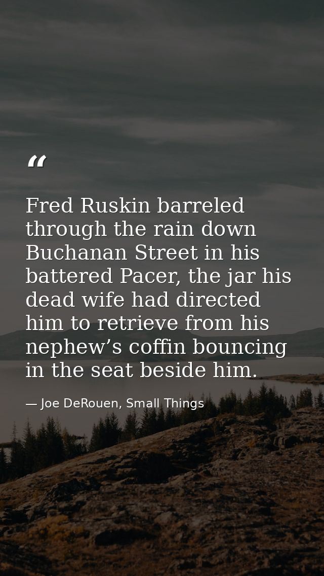 Fred Ruskin barreled through the rain down Buchanan Street in his battered Pacer, the jar his dead wife had directed him — Joe DeRouen, Small Things