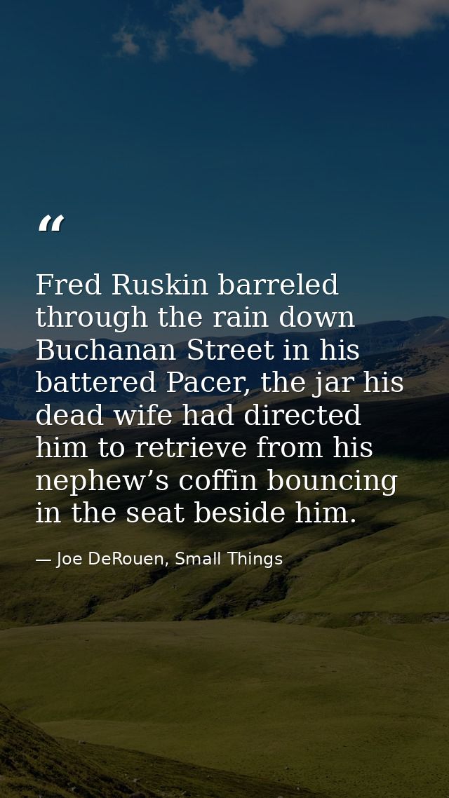 Fred Ruskin barreled through the rain down Buchanan Street in his battered Pacer, the jar his dead wife had directed him — Joe DeRouen, Small Things