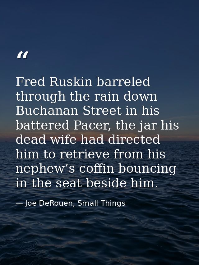 Fred Ruskin barreled through the rain down Buchanan Street in his battered Pacer, the jar his dead wife had directed him — Joe DeRouen, Small Things