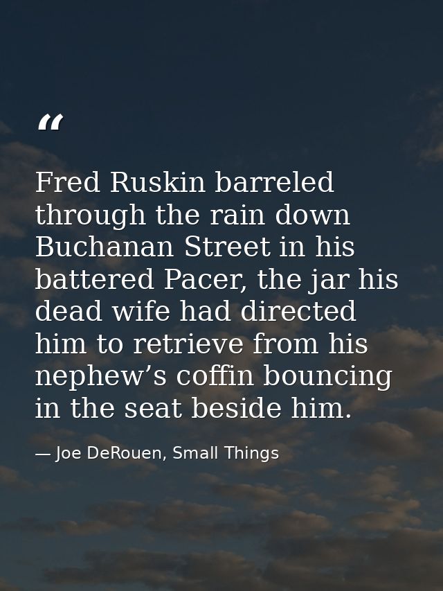Fred Ruskin barreled through the rain down Buchanan Street in his battered Pacer, the jar his dead wife had directed him — Joe DeRouen, Small Things