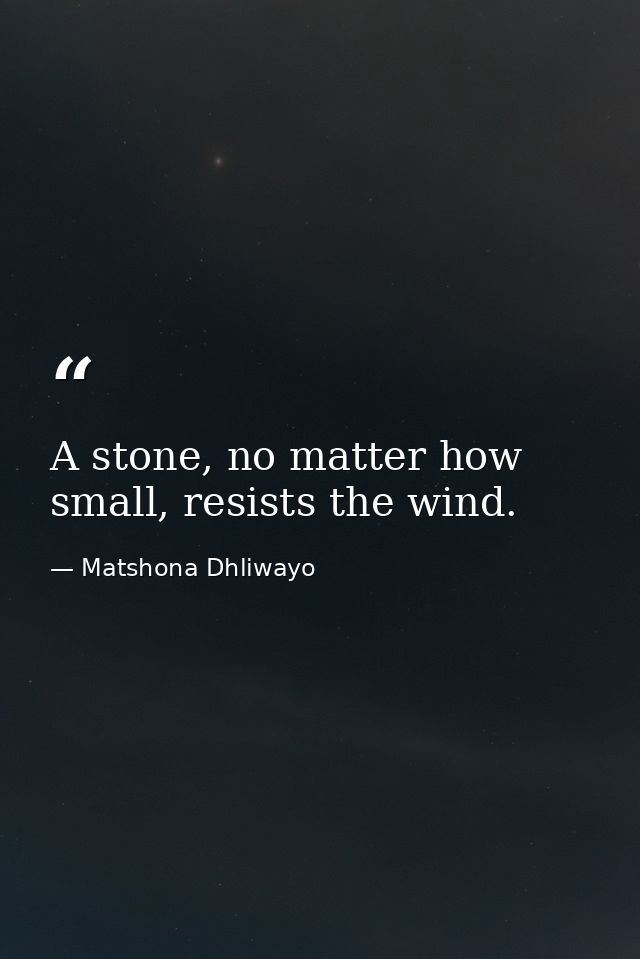 A stone, no matter how small, resists the wind. — Matshona Dhliwayo