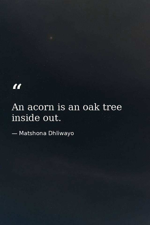 An acorn is an oak tree inside out. — Matshona Dhliwayo