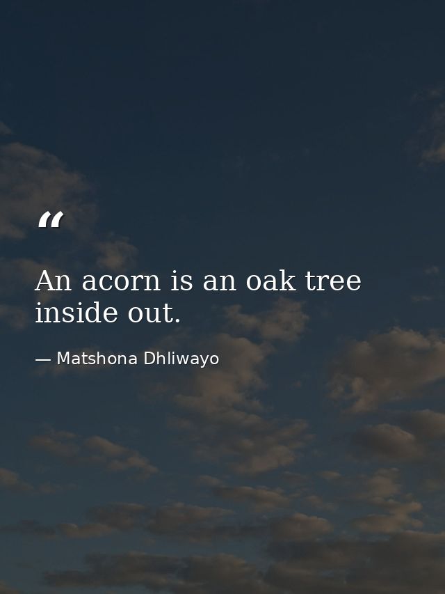 An acorn is an oak tree inside out. — Matshona Dhliwayo