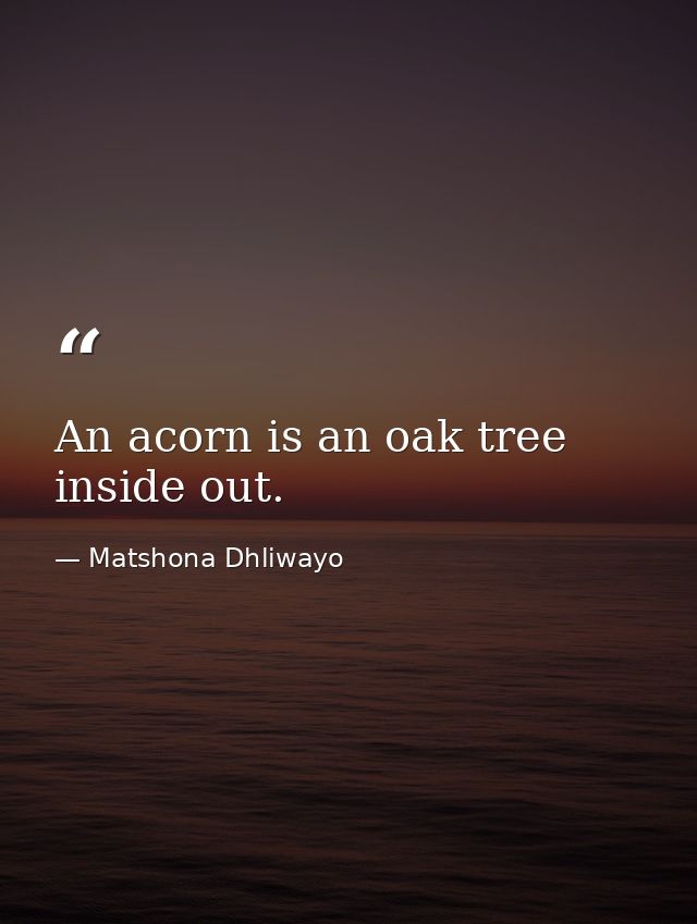 An acorn is an oak tree inside out. — Matshona Dhliwayo
