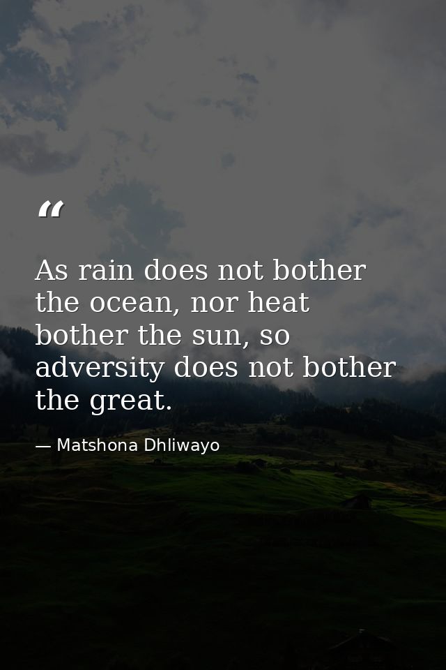 As rain does not bother the ocean, nor heat bother the sun, so adversity does not bother the great. — Matshona Dhliwayo