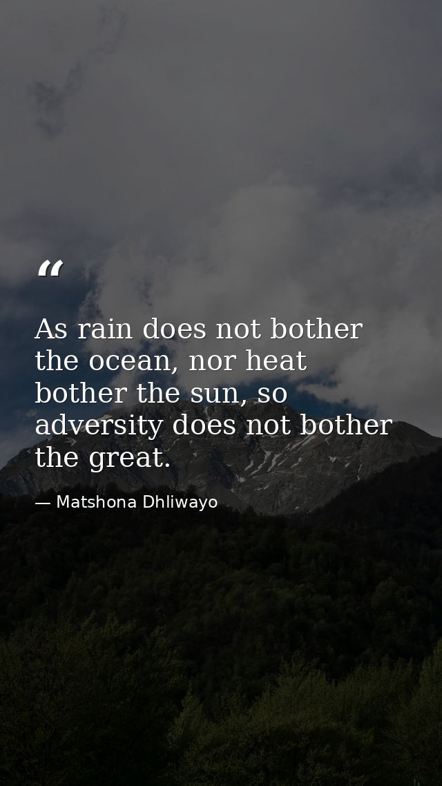 As rain does not bother the ocean, nor heat bother the sun, so adversity does not bother the great. — Matshona Dhliwayo